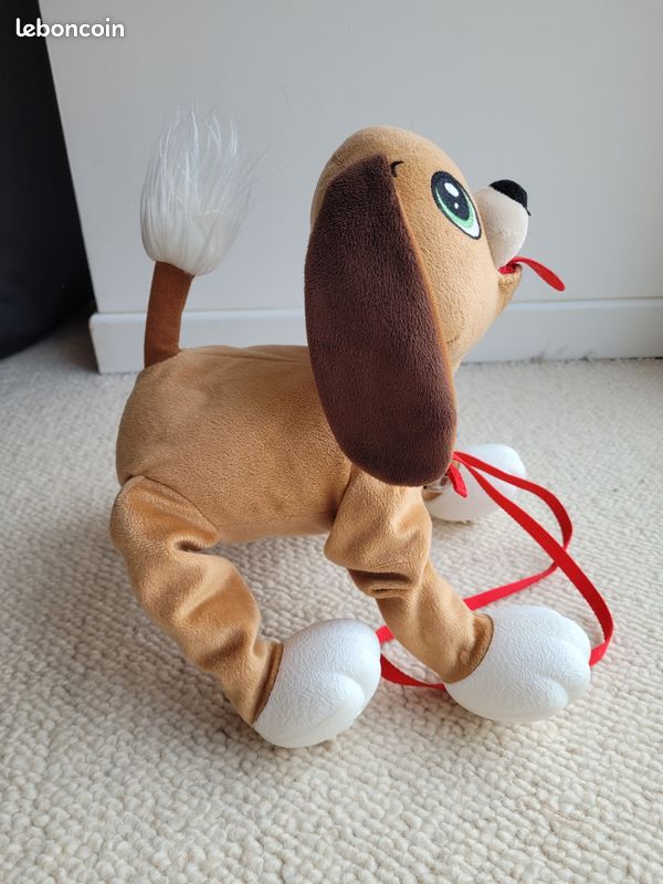 Superbe chien Toufou (image 2)