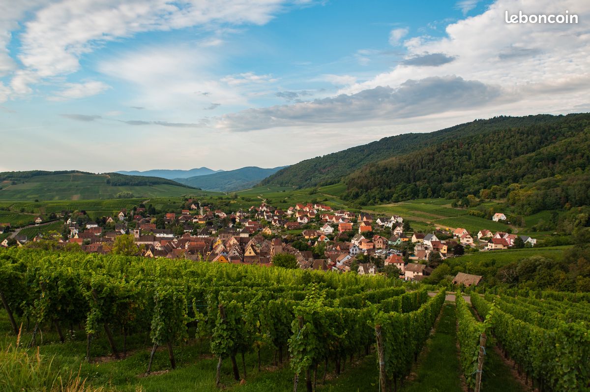 Maison Riquewihr (image 1)