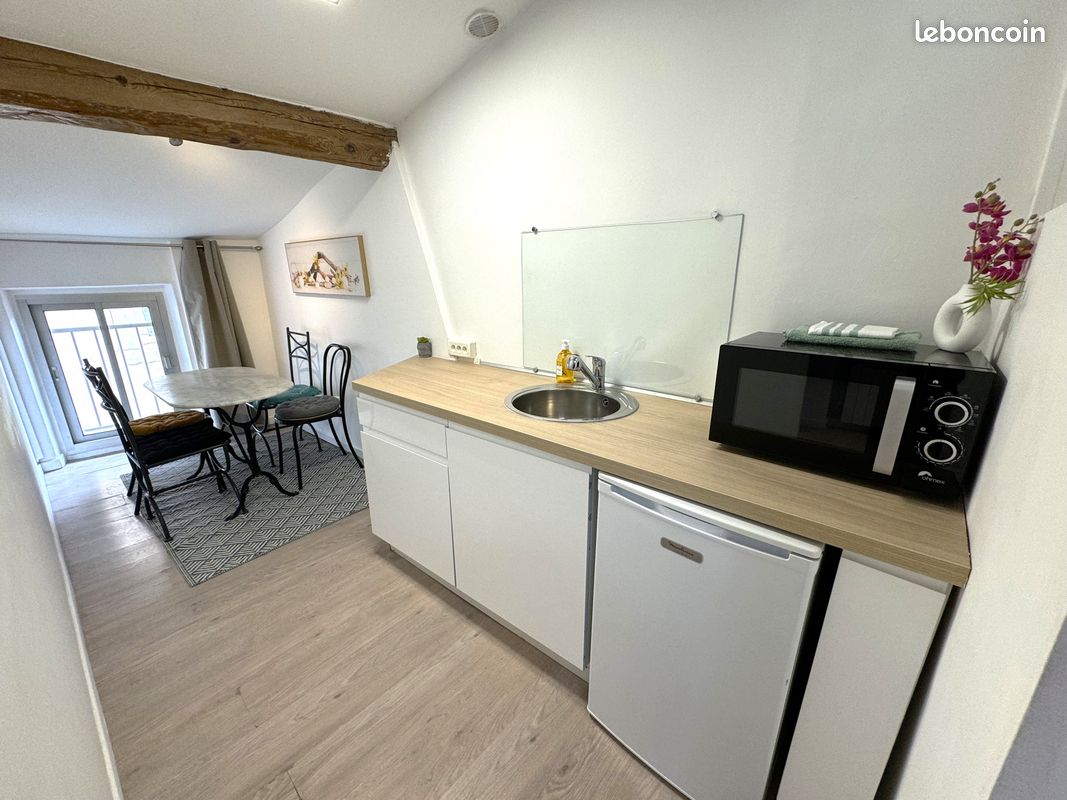 Splendide appartement climatisé à Carcassonne (image 6)