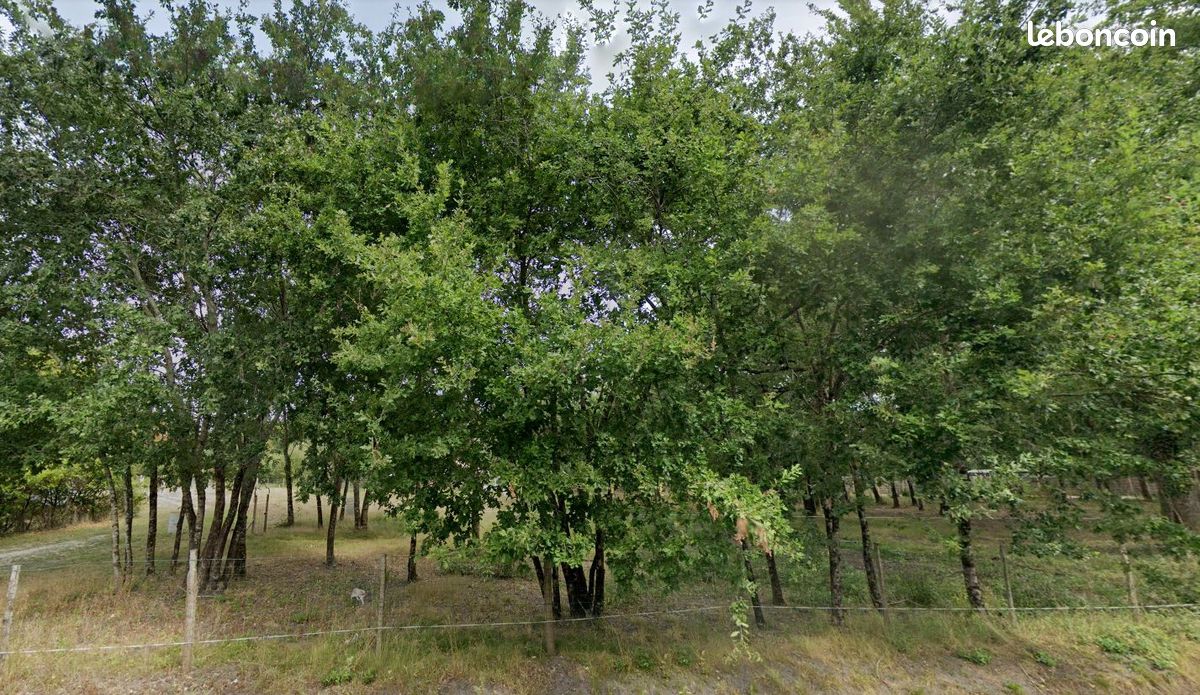 Terrain 808 m² · à Gujan-Mestras · 350 000 €