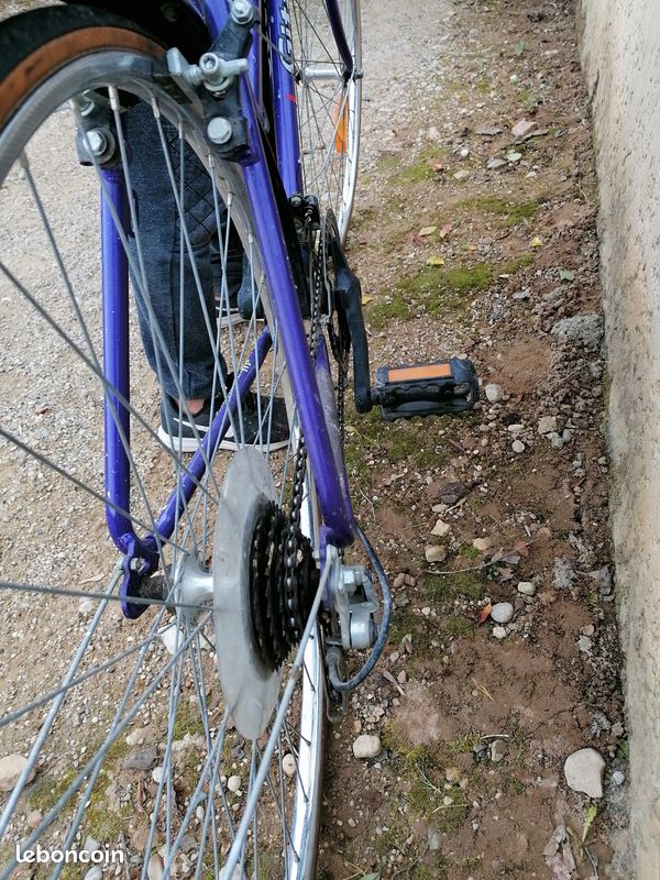 Vélo dame (image 3)