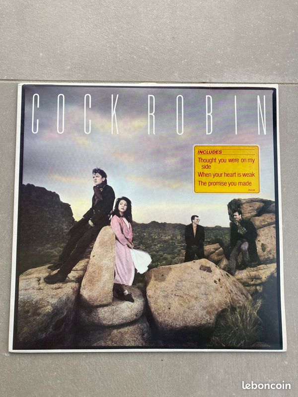 Disque vinyle 33T Cock Robin (image 1)