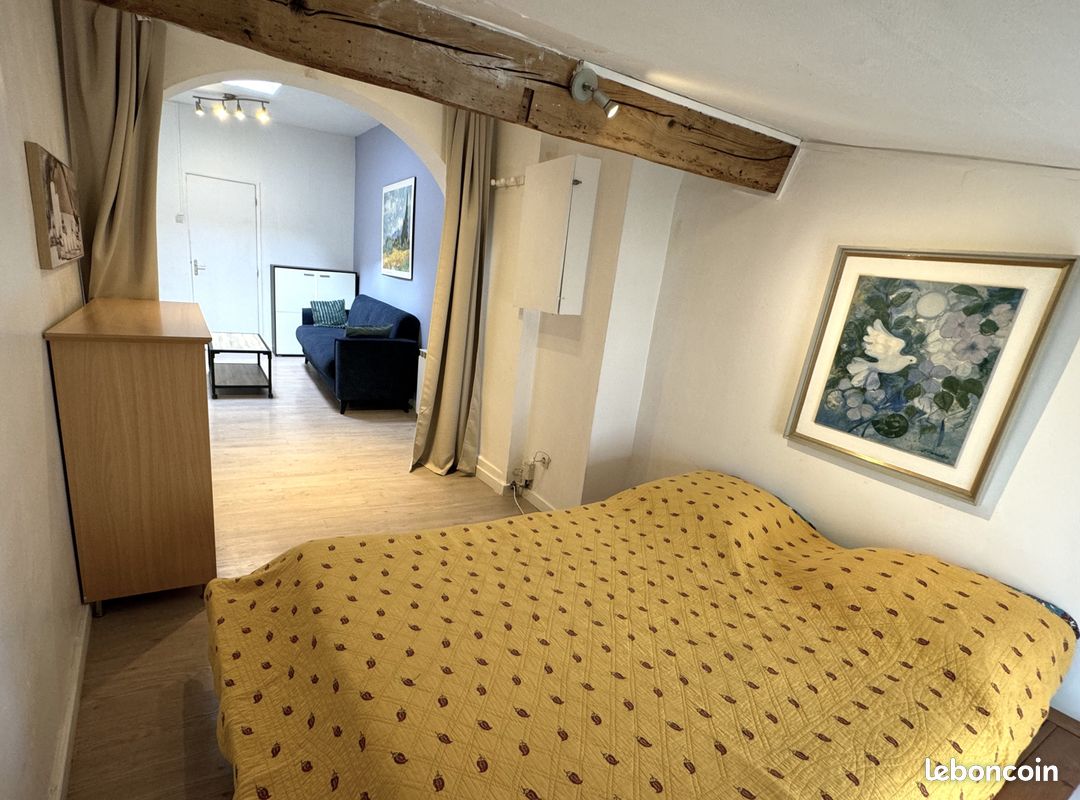 Splendide appartement climatisé à Carcassonne (image 9)