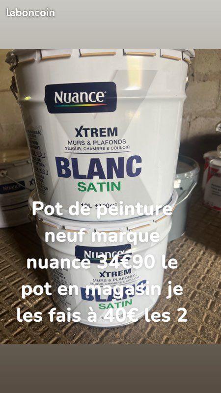 Peinture (image 1)