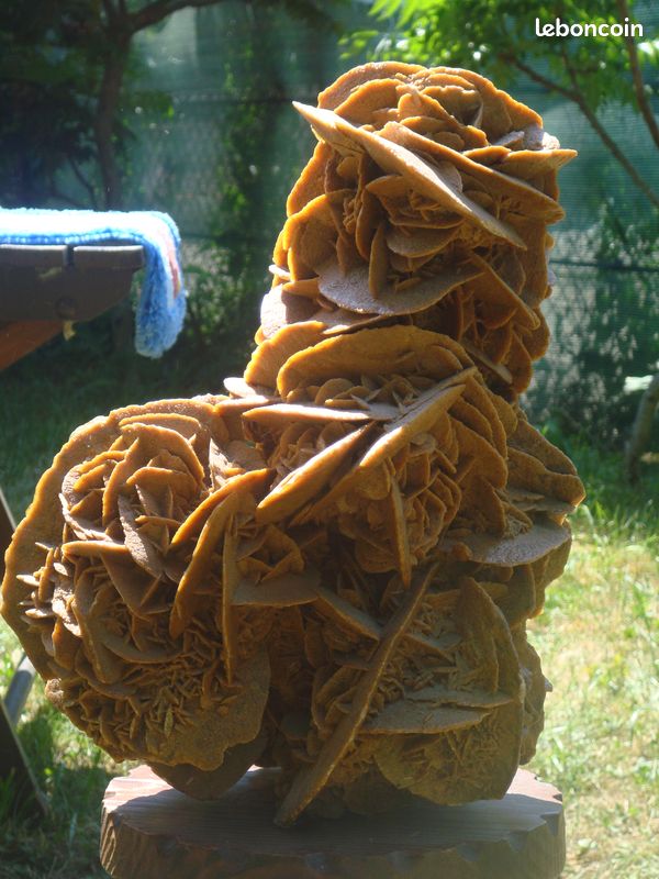 Rose des sables (désert du Sahara) (image 2)