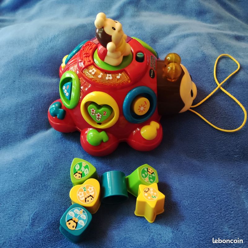 Coccinelle des formes (image 2)