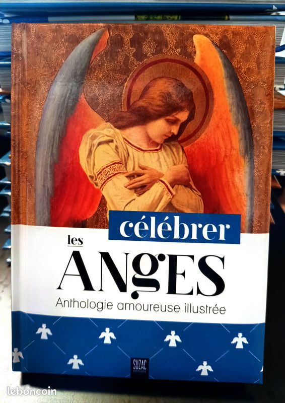 Lot de 40 livres célébrer les anges (image 1)