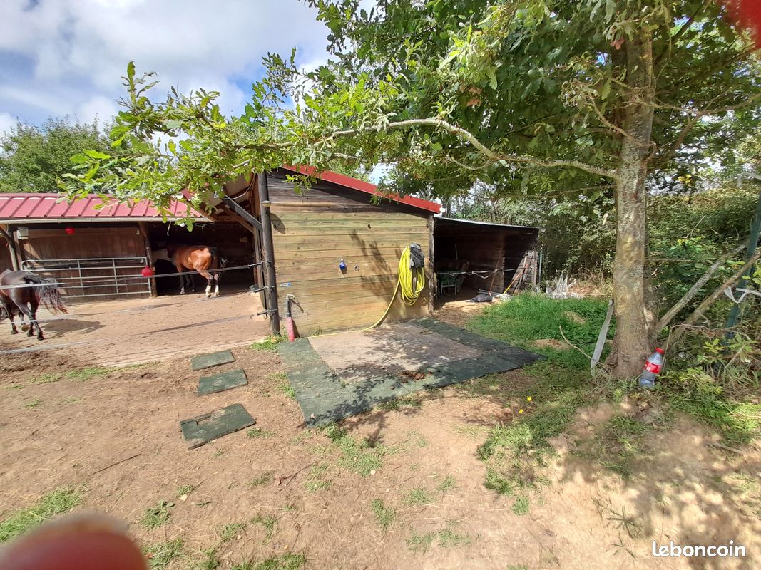 Petite structure équestre sur plus de 2 hectares dans les pyrénnes atlantiques · à Arthez-de-Béarn · 75 000 €