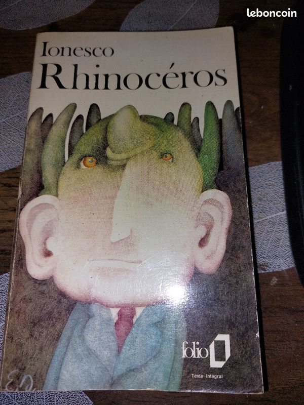 Rhinocéros (image 1)