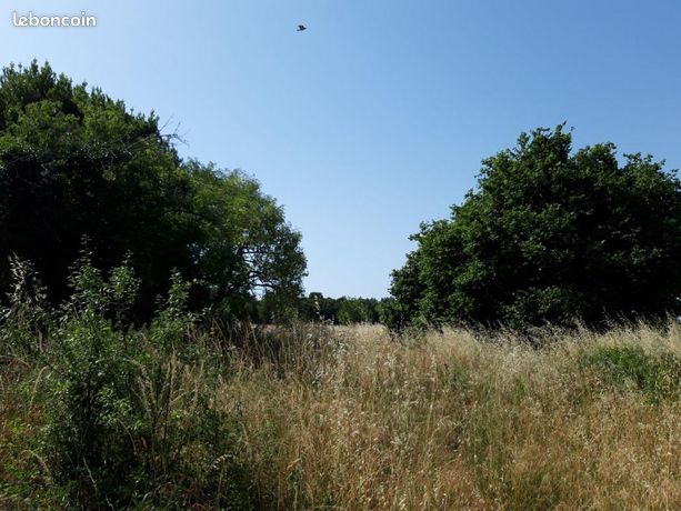 Terrain 699 m² Crazannes