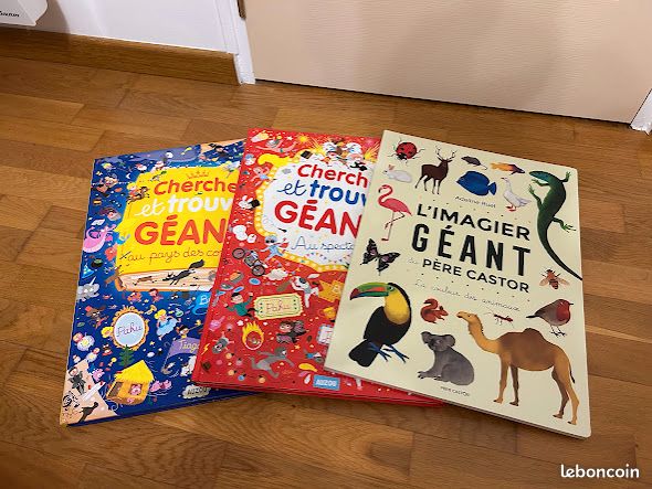 Lot 3 grands livres enfants - Cherche et Trouve Géant Auzou + Imagier Géant Père Castor (image 1)