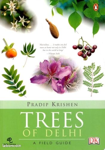 Arbre de Delhi (en anglais) (image 1)