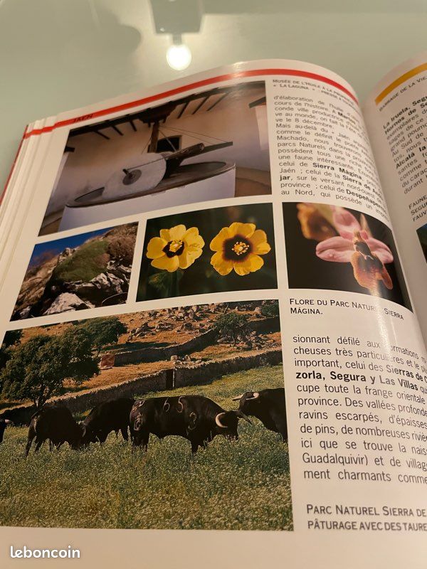 Beau livre toute l’andalousie (image 9)