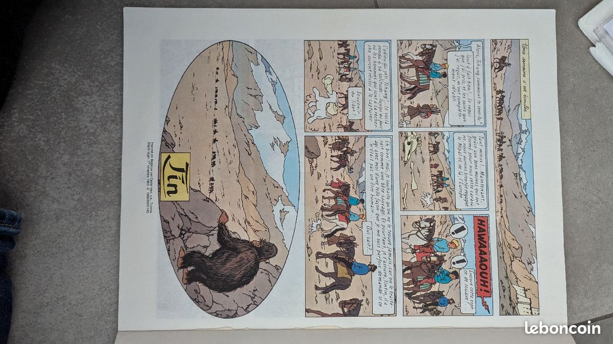 BD tintin (image 2)