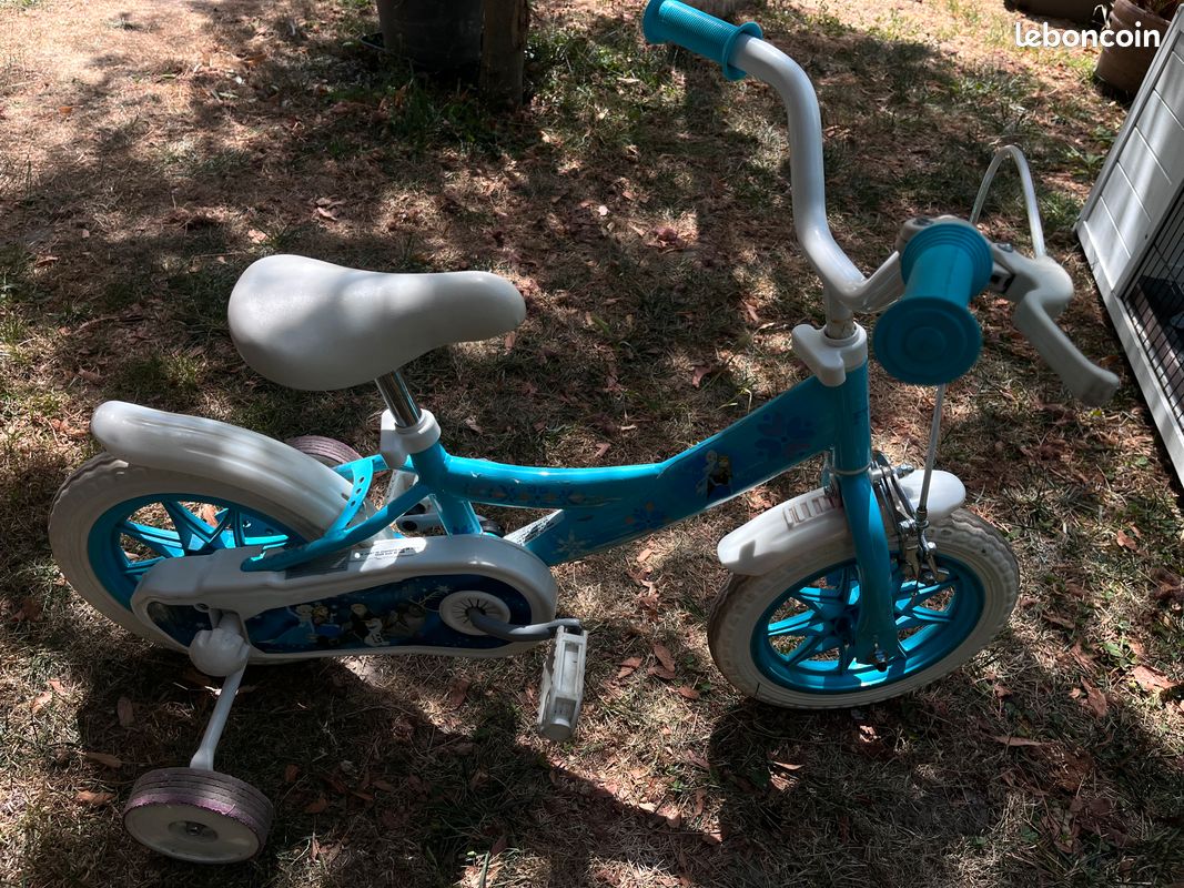 Vélo reine des neiges (image 3)