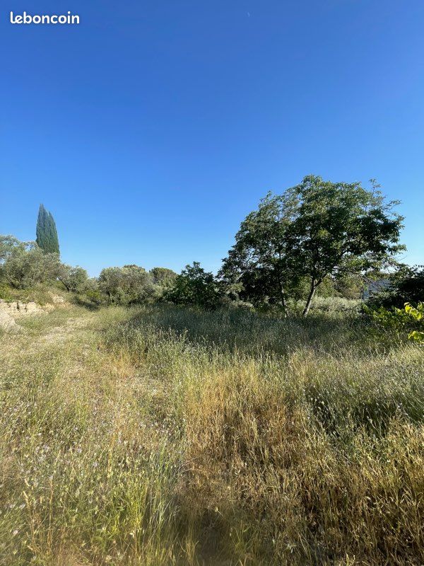 TERRAIN CONSTRUCTIBLE 1 230 m² – VALENSOLE – VIABILISÉ – OLIVERAIE · 140 000 €
