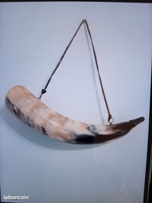 Corne de chasse (image 6)