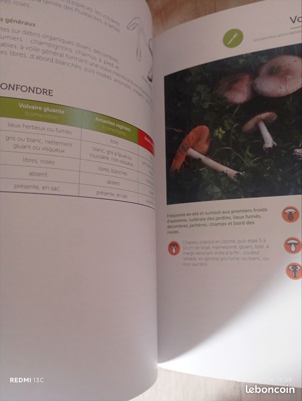 Livre illustré champignons (image 4)