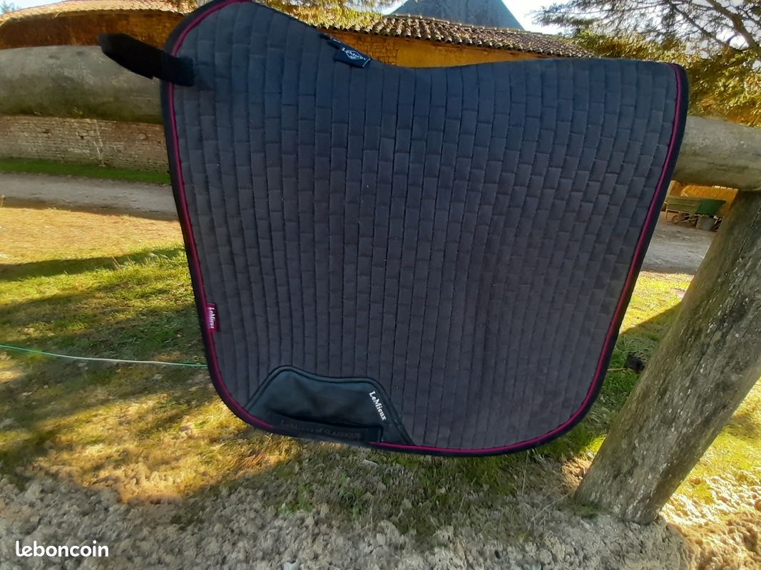 Selle Wintec Isabell Werth Marron 17,5 équipée - Sport & Plein air