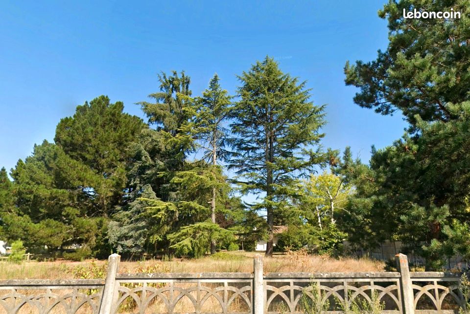 Terrain 1 200 m² Pessac · 345 000 €