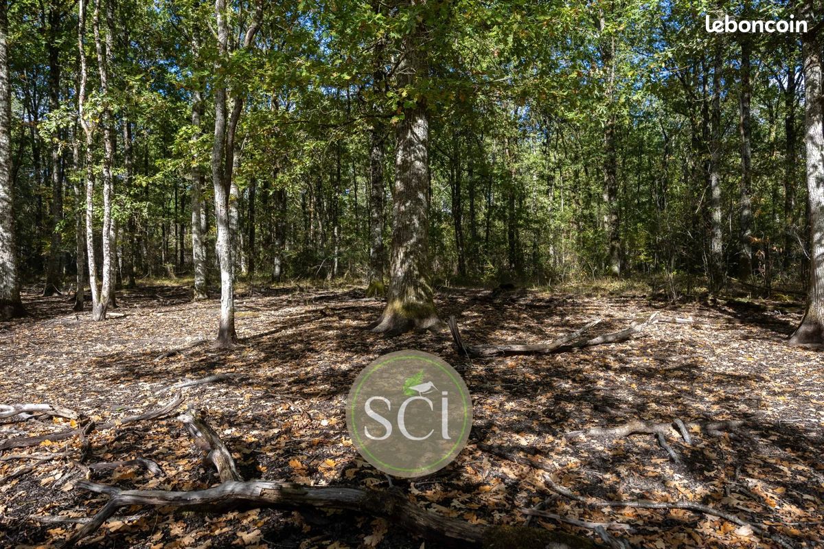 Terrain Clémont · 64 800 €