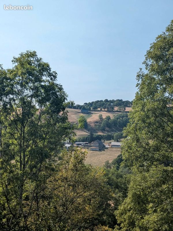 Location (image 12)