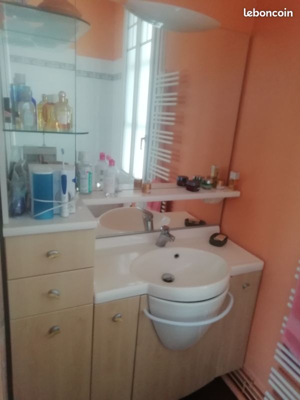 Meuble salle de bain (image 1)
