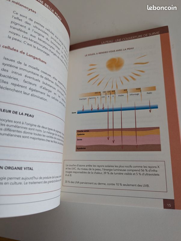 Livre les secrets d'une belle peau (image 3)