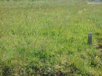 Terrain 344 m² · à Casson · 96 500 €