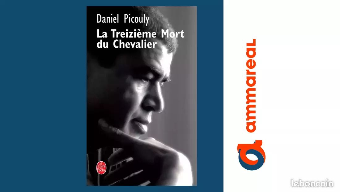 Le Treizième Mort du Chevalier - Daniel Picouly (image 1)