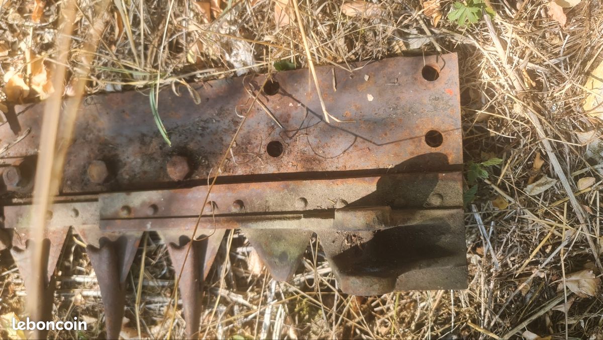 Recherche faucheuse a section roffo (image 3)