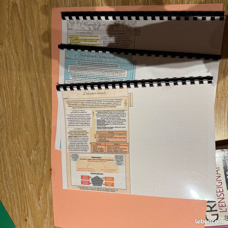 Fiches révision maîtresse P et C + livres CRPE (image 3)