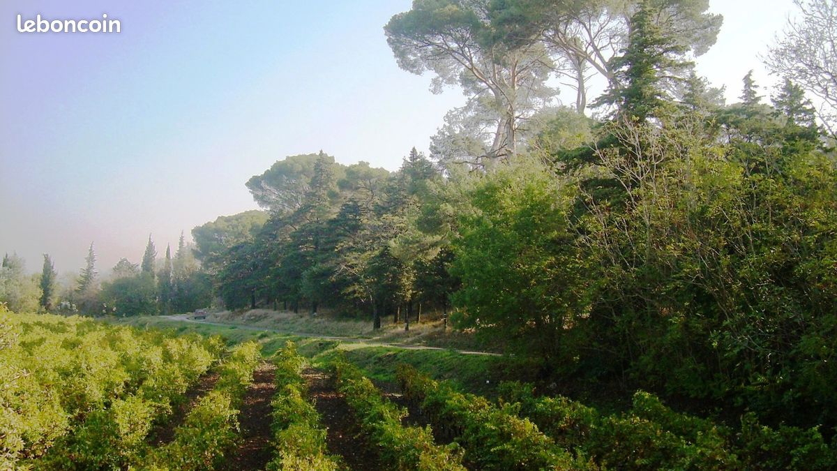 Maison a louer narbonne - 4 pièce(s) - 80 m2 - Surfyn