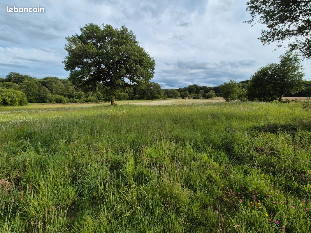 Terrain agricole · à Vaulry · 10 500 €