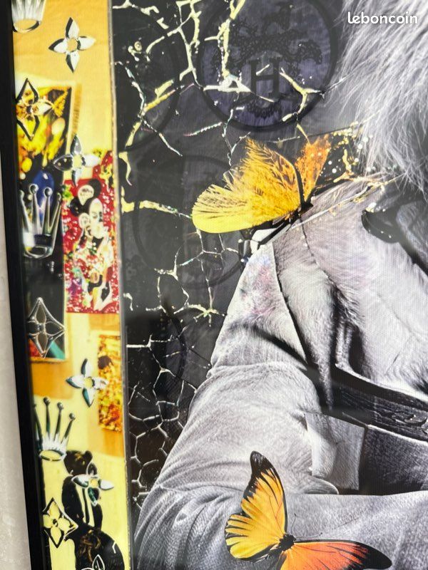 Toile lion + cadre ou sans (image 3)