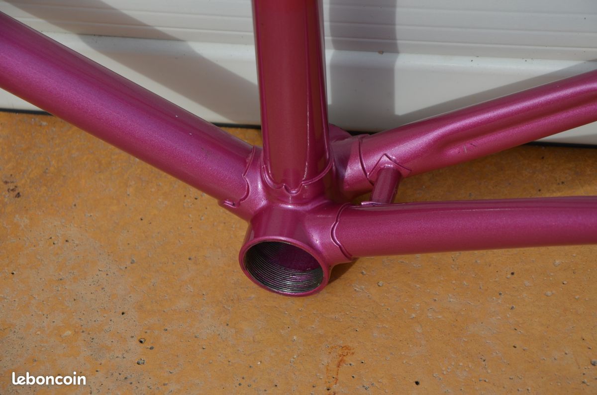 Corps de Roue Libre Dt Swiss Campagnolo Route - Ratchet EXP - 240EXP / 180EXP