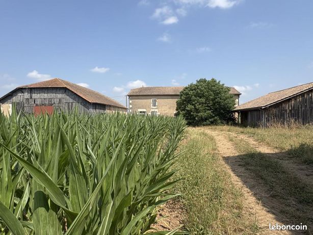 Maison 4 pièces 105 m²