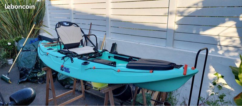 Kayak galaxy (image 1)
