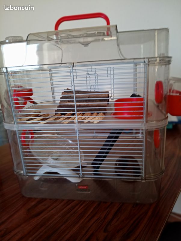 Lot cages hamster/souris (image 1)