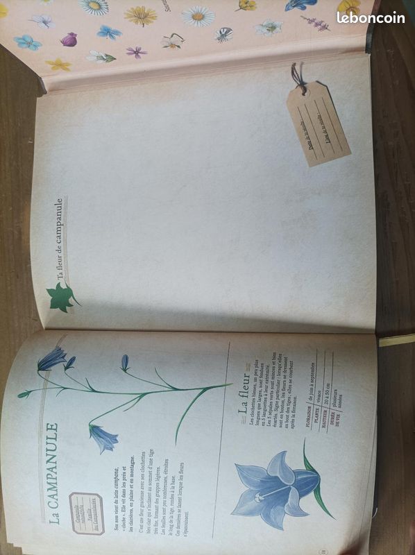Livre neuf herbier à fleurs (image 3)