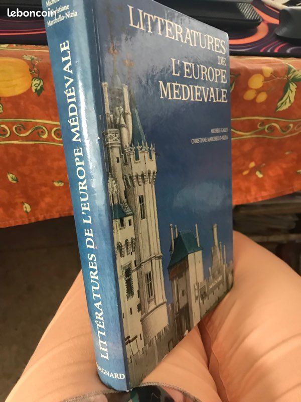 Littératures de l’Europe médiévale (image 3)