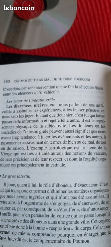 La gaieté de Justine Levy (image 3)