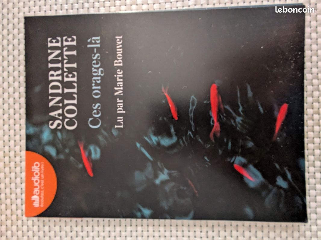 Livre audio (image 4)