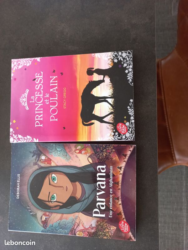 Livres à partir de 11 ans (image 1)