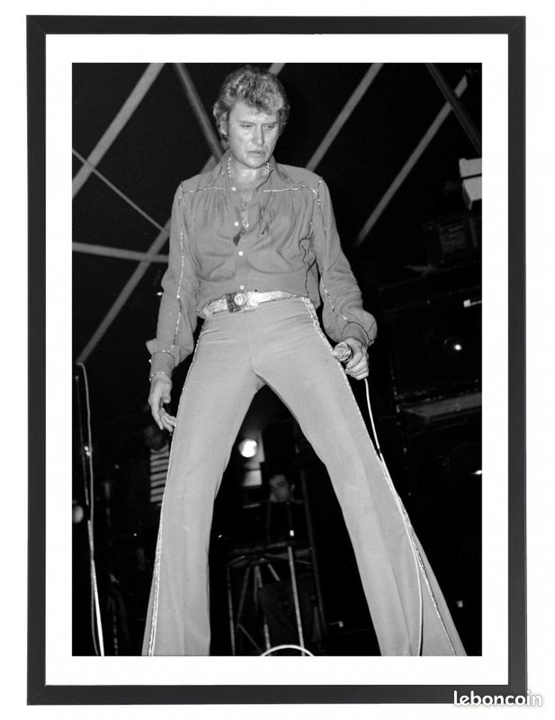 Tableau Johnny Hallyday affiche poster musique (image 1)