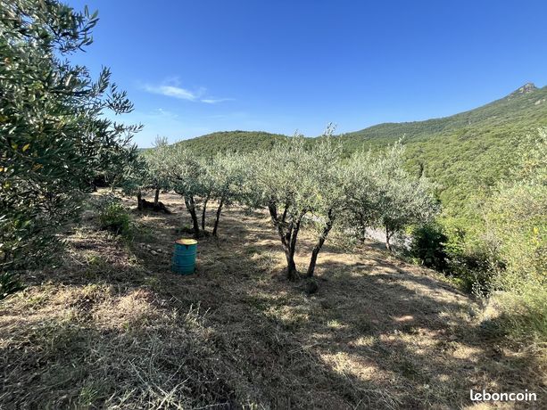 Terrain 3400 m² MONOBLET