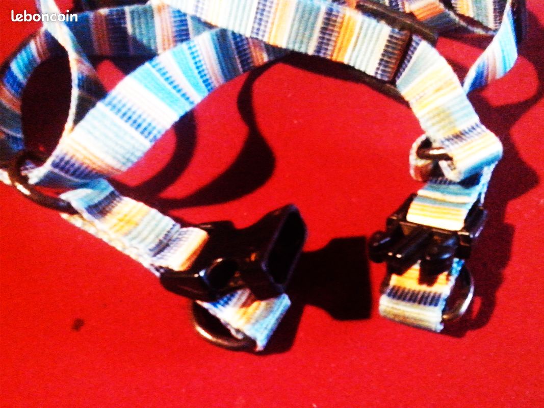 Harnais multicolore petit chien, chat, etc (image 3)