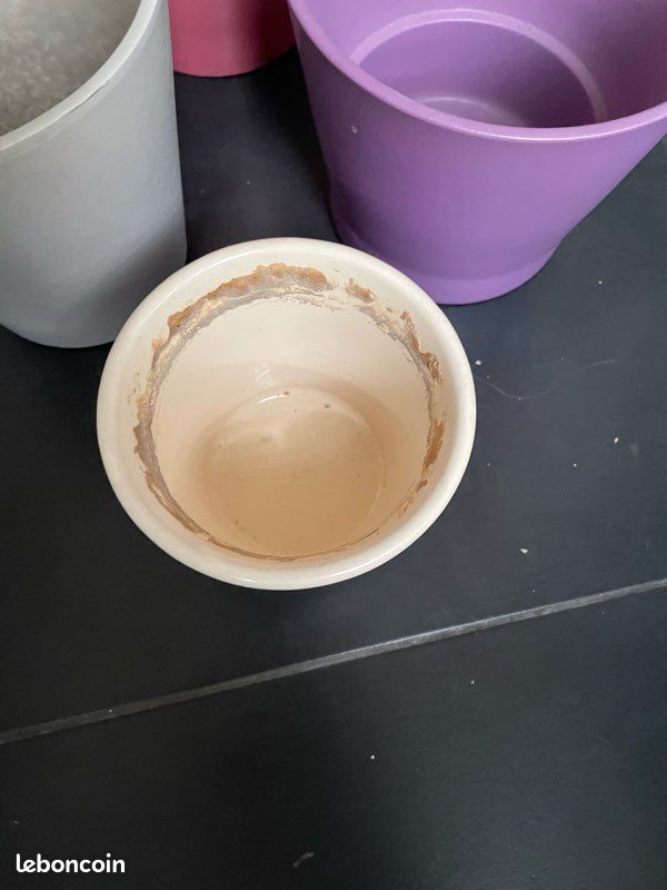 Cache-pot (image 4)