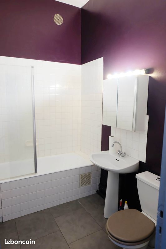 Beau T1 35m2 - Limoges 87000 Centre-Hôtel de Ville Emailleurs (image principale 2)