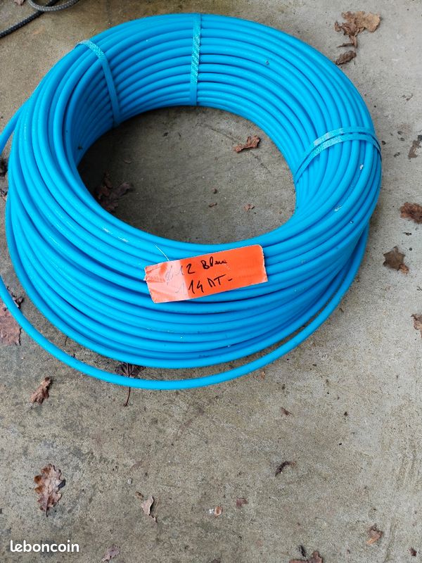 Couronne per bleu nue dn 12 (image 1)
